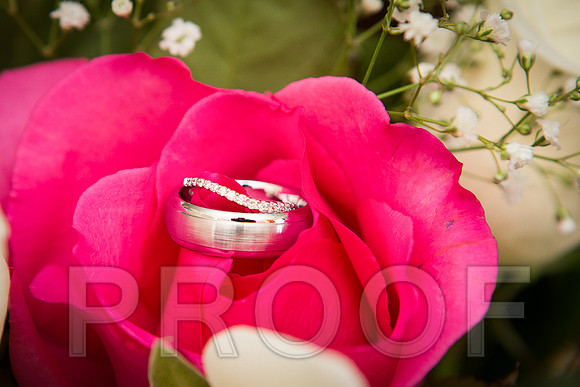 Weddings10-26-13-2nd-017