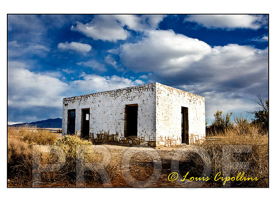 Abandoned beauty
